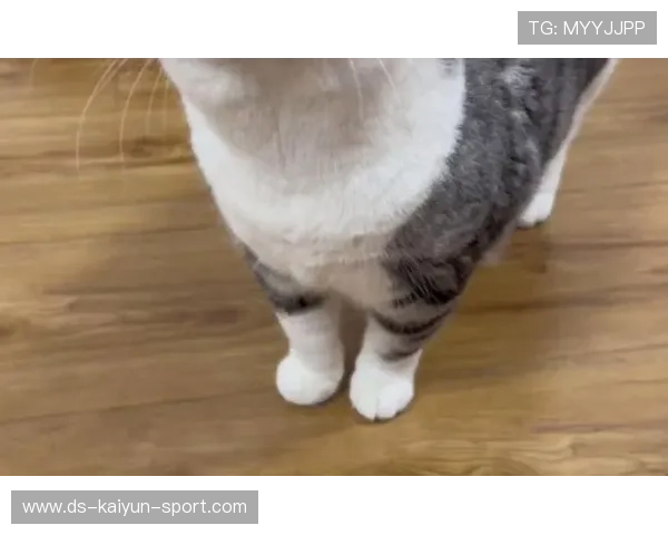 ­+­++²ÀÍ-óÐþ+þ¦¦